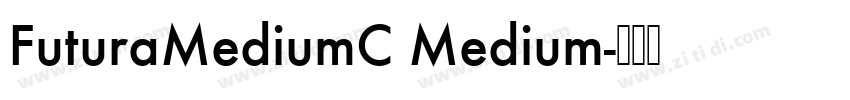 FuturaMediumC Medium字体转换